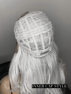 Envy Platinum-Silver